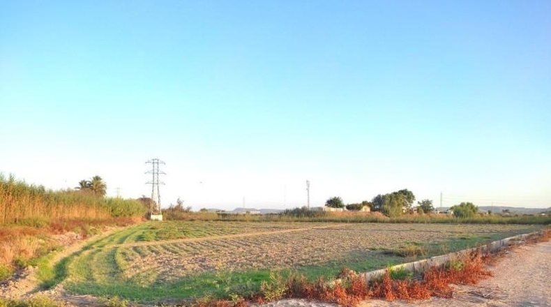 Alicante - San Fulgencio - 17651m2