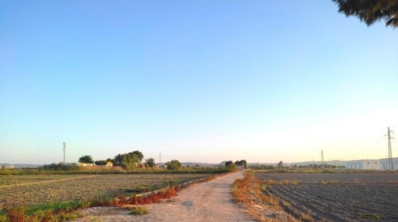 Alicante - San Fulgencio - 17651m2