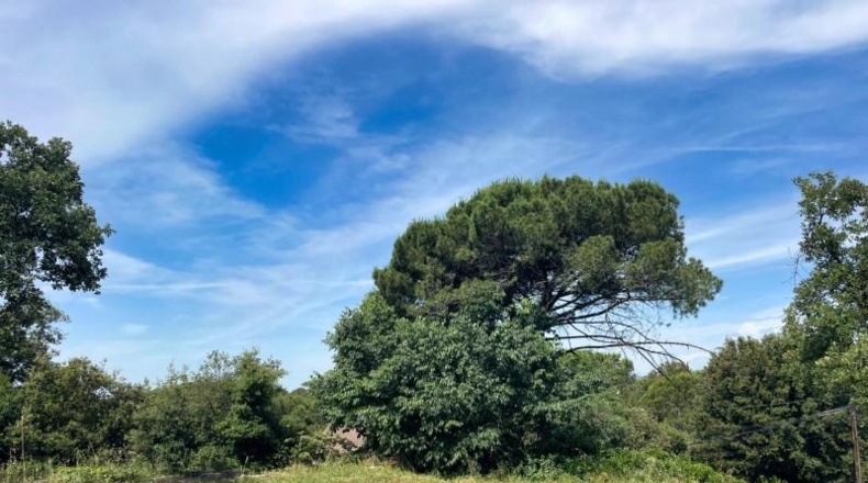 Barcelona - Sant Pere de Vilamajor - 1223m2
