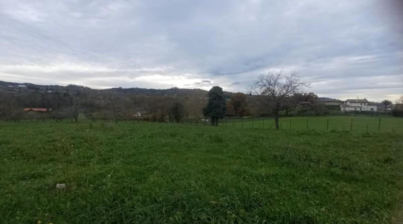 Asturias - Lugones - 2184m2