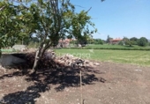 Non-developable land for sale on España, Penagos, ref: TR348978 photo