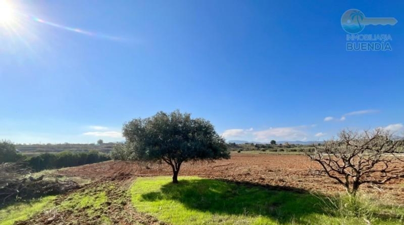 Murcia - Cartagena - 14600m2