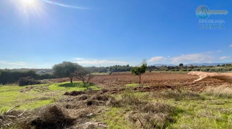Murcia - Cartagena - 14600m2