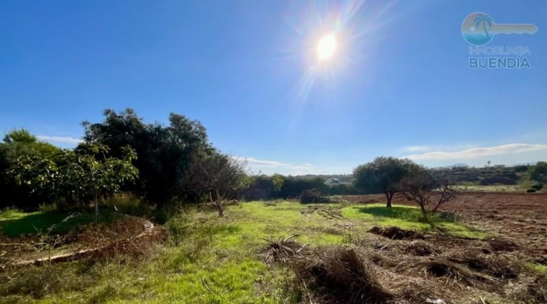 Murcia - Cartagena - 14600m2