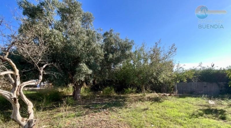 Murcia - Cartagena - 14600m2