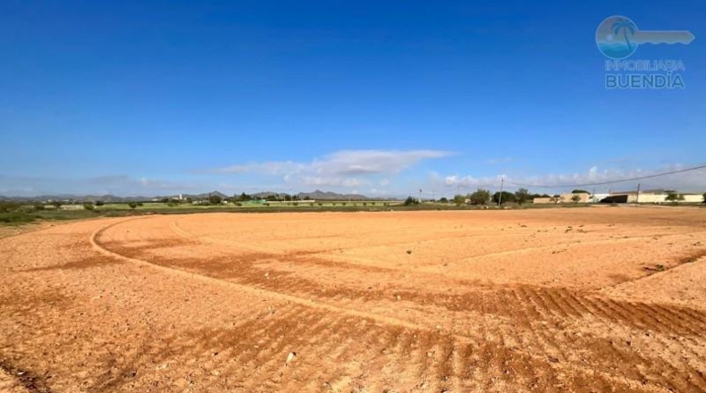 Murcia - Cartagena - 14600m2