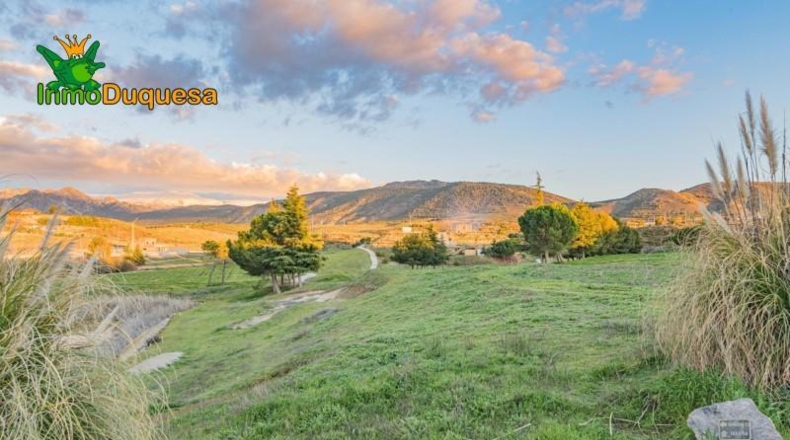 Asturias - Los Llanos - 700m2