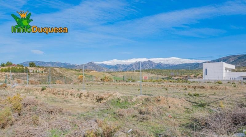 Asturias - Los Llanos - 700m2
