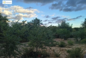 Gerena 1000&nbsp;m² 