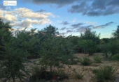 Urban land for sale on España, Gerena, ref: TR357151 photo