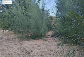 Gerena 1000&nbsp;m² 