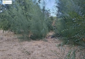 Urban land for sale on España, Gerena, ref: TR357151 photo