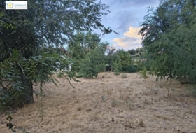 Gerena 1000&nbsp;m² 