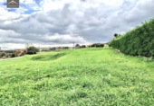 Parcela urbanizable en venta en la España, Ajo, ref: TR358441 foto