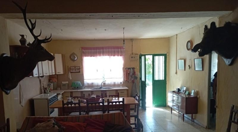 Jaen - Huelma - 20000m2