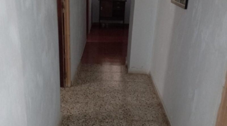Jaen - Huelma - 20000m2