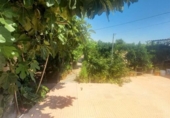 Casa de campo con terreno en venta en la España, Murcia, ref: TR361736 foto