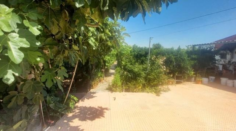 Murcia - Мурсия - 3669m2