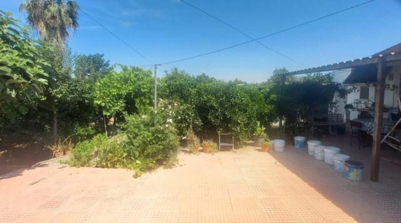 Murcia - Мурсия - 3669m2