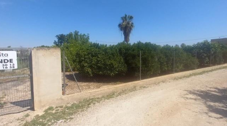 Murcia - Мурсия - 3669m2