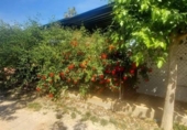 Casa de campo con terreno en venta en la España, Murcia, ref: TR361736 foto