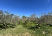 Casa de campo con terreno en venta en la España, Tudela, ref: TR403598 foto