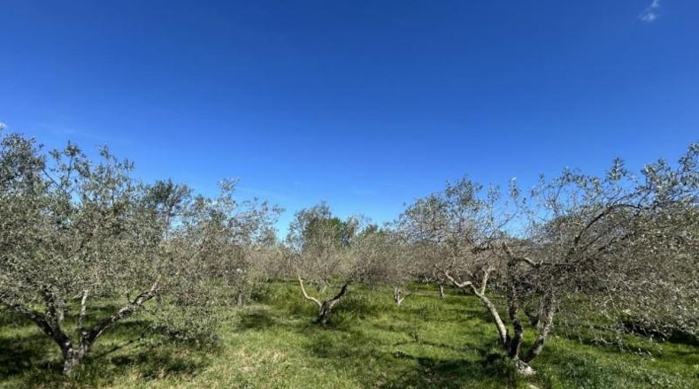 Navarra - Tudela - 2695m2