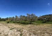 Casa de campo con terreno en venta en la España, Tudela, ref: TR403598 foto