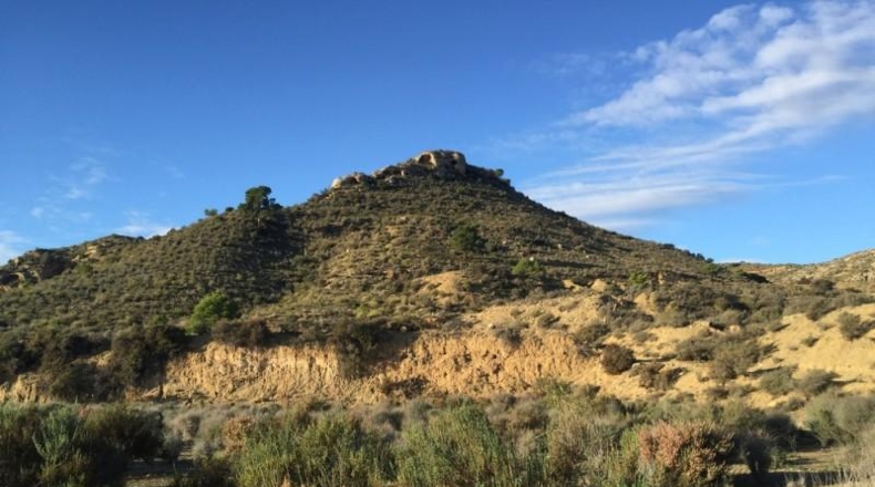 Alicante - Aspe - 14470m2