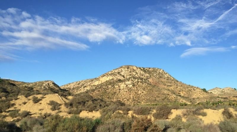 Alicante - Aspe - 14470m2