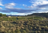 Parcela urbanizable en venta en la España, Aspe, ref: TR131346 foto