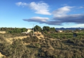 Parcela urbanizable en venta en la España, Aspe, ref: TR131346 foto