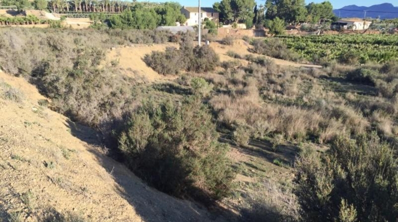 Alicante - Aspe - 14470m2