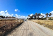 Terreny no urbanitzable en venda a la España, Chiclana de la Frontera, ref.: TR131580 foto