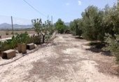 Non-developable land for sale on España, Huércal-Overa, ref: TR131647 photo