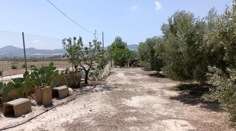 Almeria - Huércal-Overa - 9000m2