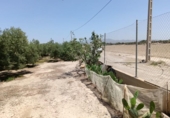 Non-developable land for sale on España, Huércal-Overa, ref: TR131647 photo