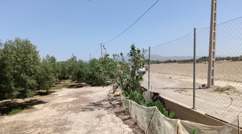 Almeria - Huércal-Overa - 9000m2