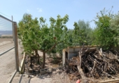 Non-developable land for sale on España, Huércal-Overa, ref: TR131647 photo