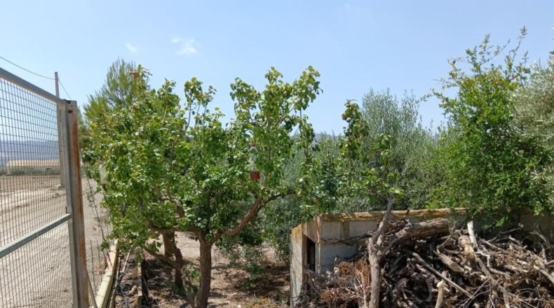 Almeria - Huércal-Overa - 9000m2