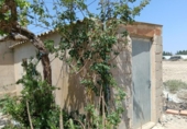 Non-developable land for sale on España, Huércal-Overa, ref: TR131647 photo