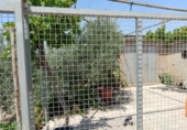 Non-developable land for sale on España, Huércal-Overa, ref: TR131647 photo