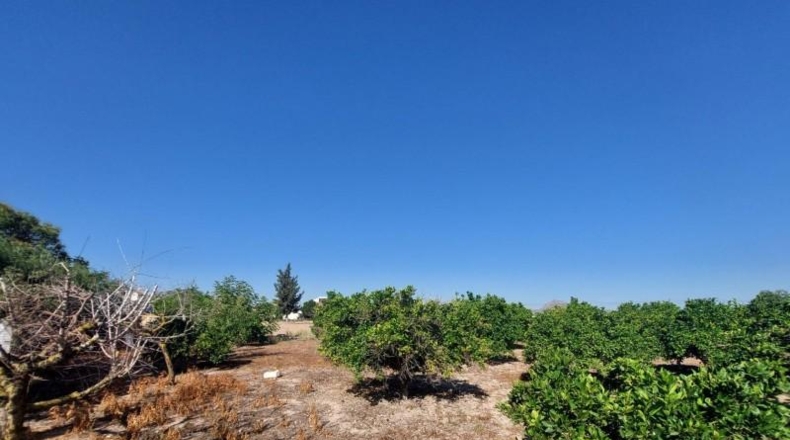 Murcia - Murcia - 1400m2