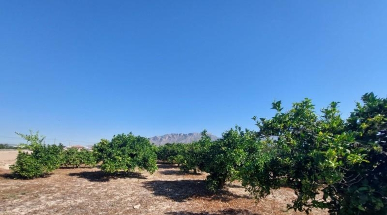 Murcia - Murcia - 1400m2