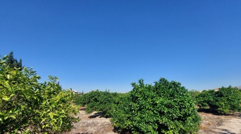 Murcia - Murcia - 1400m2