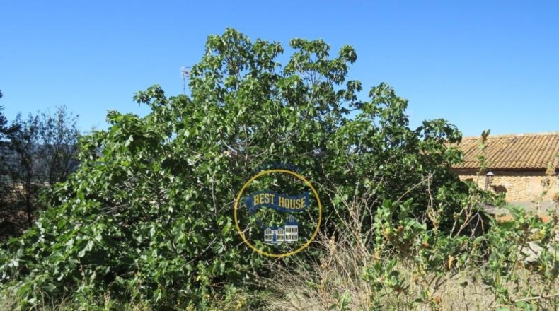 Valencia - Montesa - 1000m2
