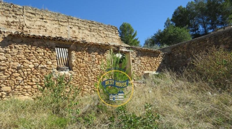 Valencia - Montesa - 1000m2