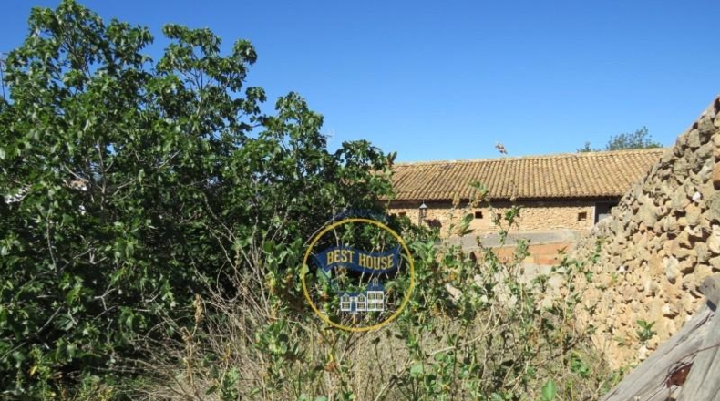 Valencia - Montesa - 1000m2