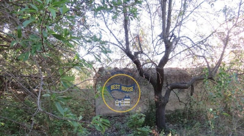 Valencia - Montesa - 1000m2