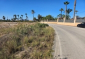 Casa amb terreny en venda a la España, Elx, ref.: TR302474 foto